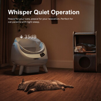 Automatische Katzentoilette in gemütlichem Raum mit zwei schlafenden Katzen; sichtbarer Text: "Flüsterleiser Betrieb" und "35 dB".
