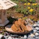 Ein kleiner brauner Vogel steht neben einem Holzbrett, das mit Hirse gefüllt ist, in der Nähe eines Holzvogelhäuschens und bunten Blumen im Hintergrund.