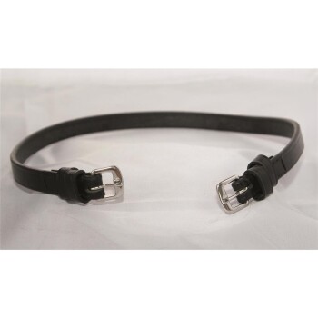 Schwarzes Leder-Haustierhalsband mit silbernen Schnallen, auf einem hellen Hintergrund präsentiert.