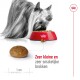 Een Yorkshire Terrier eet uit een rode kom met brokjes, met een enkele brok en een liniaal voor de maat, plus tekst over de smaak.