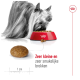 Een Yorkshire Terrier eet uit een rode kom met brokjes, met een enkele brok en een liniaal voor de maat, plus tekst over de smaak.