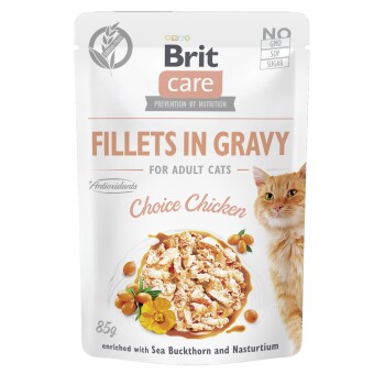 Care Nassfutter Katze Adult Filets in Sauce Huhn 24x 85 g