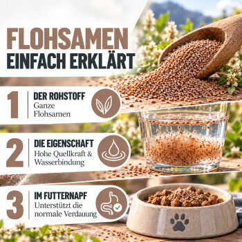 Ein grauer Hund springt in einem grasbewachsenen Feld, mit einem Textüberlagerung, der 'MIT EXPERTEN ENTWICKELT' sagt und Details zur Expertenentwicklung in Deutschland enthält.