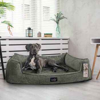 Ein grauer Hund liegt auf einem plüschigen grünen Haustierbett in einem hellen Raum mit weißen Jalousien und dekorativen Pflanzen. Das Bett hat ein Etikett mit der Aufschrift "tierlando."