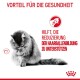 Eine graue Katze, die sich putzt, mit deutschem Text: "Vorteil für die Gesundheit" und "Hilft, Haarballenbildung zu reduzieren."