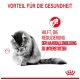 Eine graue Katze, die sich putzt, mit deutschem Text: "Vorteil für die Gesundheit" und "Hilft, Haarballenbildung zu reduzieren."