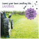 Rasenmäher schneidet Gras mit dem Text „Lässt Ihren Rasen duften wie... LAVENDEL“ und „Hält Ihr GRAS frisch duftend.“