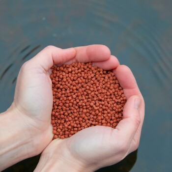 Ein Paar Hände, die kleine, rötlich-braune Haustierfutterpellets über einer ruhigen Wasseroberfläche halten.