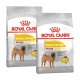Deux sacs de nourriture pour chiens Royal Canin Dermacomfort pour races moyennes, présentant un chien Shar Pei sur l'emballage, mettant en avant une formule réduite en allergènes.