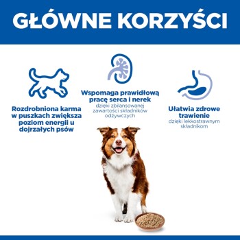 Nagłówek 'GŁÓWNE KORZYŚCI': pies z miską; zwiększa energię u starszych psów; wspiera serce i nerki; wspomaga trawienie.