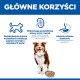 Nagłówek 'GŁÓWNE KORZYŚCI': pies z miską; zwiększa energię u starszych psów; wspiera serce i nerki; wspomaga trawienie.
