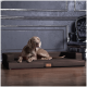 Ein entspannter grauer Weimaraner-Hund liegt auf einem stilvollen braunen Hundebett in einem schicken Raum mit dunklen Wänden und einem eleganten Stuhl im Hintergrund.
