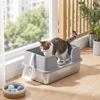 Eine getigerte-weiße Katze steht in einer zweifarbigen grauen Katzentoilette mit Schaufel bei einem sonnenbeschienenen Fenster, einer Topfpflanze und einem kleinen Spielzeugkorb.
