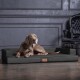 ® Orthopädisches Design Hundesofa GIBSON VISCO Kunstleder kubische Form schwarz/ graphit 1,2 m, 22 cm, 90 cm