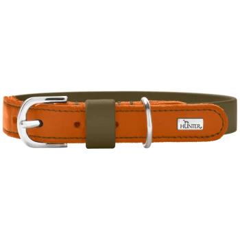 Oranges Wildleder-Hundehalsband mit olivfarbenem Futter, silberner Schnalle und D-Ring, Metallplakette mit der Aufschrift HUNTER