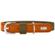 Oranges Wildleder-Hundehalsband mit olivfarbenem Futter, silberner Schnalle und D-Ring, Metallplakette mit der Aufschrift HUNTER