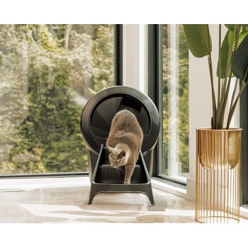 Eine graue Katze kommt aus einer schwarzen Katzentoilette bei großen Fenstern, mit einer blättrigen Pflanze auf einem goldenen Ständer in der Nähe.