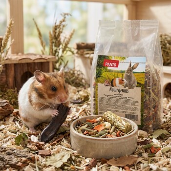 Nahaufnahme eines Meerschweinchens neben einer grünen Schüssel mit gemischtem Haustierfutter und einer Tüte mit der Aufschrift "PANTO Naturgenuss" mit Bildern von kleinen Tieren.