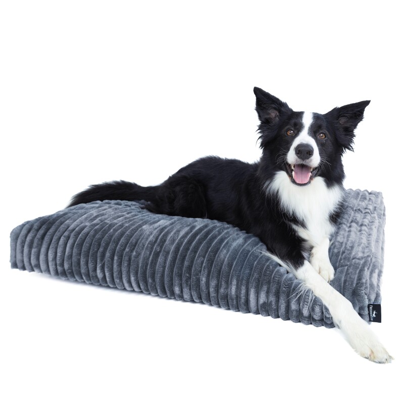 Freudentier orthopädisches Hundebett aus Cord "Let's get cozy" M