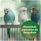 Drei bunte Wellensittiche, die auf einem Käfig sitzen, mit einem grünen Kreisüberlagerung, der besagt: 'Vitaminekalk unterstützt die Gesundheit.'