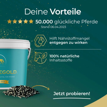 Teal Eimer mit der Aufschrift "PFERDEGOLD" mit "ATEMGLÜCK," 4,5-Sterne-Bewertung, "Hergestellt in Deutschland," und Icons für Garantien und Ergebnisse.