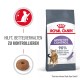 Royal Canin Appetite Control Katzenfutterbeutel, mit einer Grafik einer Katze und einem Stück Trockenfutter, mit Text über die Kontrolle von Bettelverhalten.