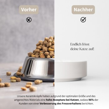 Bild geteilt: links zeigt eine Metallschüssel mit Katzenfutter, beschriftet "Vorher"; rechts zeigt eine leere Schüssel, beschriftet "Nachher".