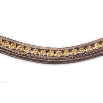 Eine Nahaufnahme eines stilvollen Haustierhalsbands, verziert mit funkelnden gelben Strasssteinen, vor einem weißen Hintergrund.