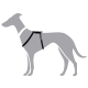 Eine graue Silhouette eines Hundes, der ein schwarzes Geschirr mit einer Schlaufe und dekorativen Knöpfen trägt, vor einem weißen Hintergrund.