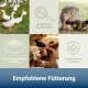 Collage aus Enten und Hühnern mit deutschem Text über Fütterung zur Parasitenbekämpfung und prophylaktischen Anwendung.