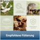 Collage aus Enten und Hühnern mit deutschem Text über Fütterung zur Parasitenbekämpfung und prophylaktischen Anwendung.