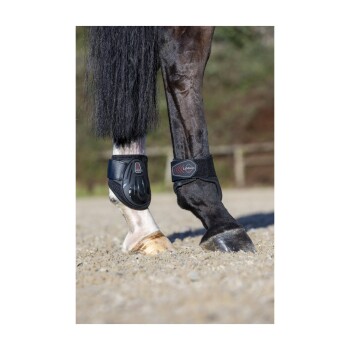 Nahaufnahme von den Beinen eines Pferdes, das mit schützenden schwarzen Beinschützern ausgestattet ist, und die kontrastierenden Farben des Pferdefells und der Hufe zeigt.