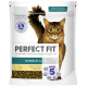 Eine Tüte Perfect Fit Katzenfutter mit einer braun gestreiften Katze auf der Vorderseite, beschriftet mit "Unterstützt die Gesundheit des gesamten Körpers", mit "Steril 1+" und "Reich an Huhn."