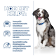 Een blije hond tegen een blauwe achtergrond, die hondenvoer benadrukt dat voedselintoleranties vermindert en een gezonde spijsvertering bevordert.