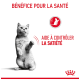 Un chat gris joueur se tenant sur ses pattes arrière, avec du texte indiquant "BÉNÉFICE POUR LA SANTÉ" et "AIDE À CONTRÔLER LA SATIÉTÉ."