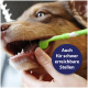 Hund, dem mit einer grünen Zahnbürste die Zähne geputzt werden; blauer Kreis: 'Auch für schwer erreichbare Stellen'.