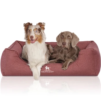 Orthopädisches Wasserabweisendes Hundebett Malou aus Velours mit Handwebcharakter rot XL Zwei Hunde sitzen zusammen in einem gemütlichen roten Haustierbett, mit dem Logo "KNUFFELWUFF" sichtbar auf der Vorderseite.