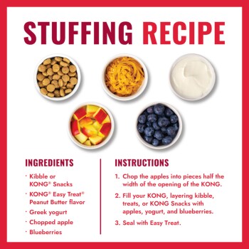Stuffing recipe for dogs with kibble, KONG treats, peanut butter, Greek yogurt, chopped apple, and blueberries, plus instructions.