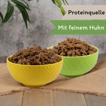 Zwei Schalen mit Haustierfutter, eine gelbe und eine grüne, gefüllt mit einer stückigen Fleischmischung, mit dem Text "Proteinquelle" und "Mit feinem Huhn."