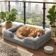 Golden Retriever liegt auf grauem Randhundebett auf einem Balkon mit Stadtblick, Topfpflanzen und einer Schale mit Aufschrift ‚woof‘