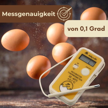 Digitales Brutthermometer mit Sonde neben braunen Eiern; deutscher Text 'Messgenauigkeit' und 'von 0,1 Grad' sichtbar