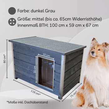 Dunkelgraue Hundehütte mit beschrifteten Maßen (Innenraum 100 cm x 59 cm x 67 cm, Tür 30 x 50 cm) und einem sitzenden Collie.