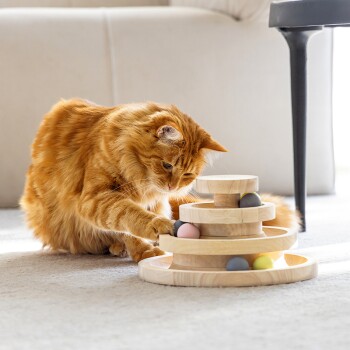 Eine flauschige orange Katze spielt mit einem mehrstufigen Holzspielzeug mit bunten Bällen, auf einem hellen Teppich in einem hellen Raum.