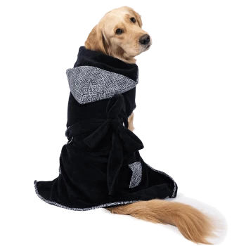 Golden Retriever trägt schwarzen Kapuzenmantel mit weißem geometrischem Besatz und gebundenem Gürtel, sitzt und schaut zurück.