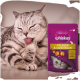 Eine silberne getigerte Katze, die sich die Pfote leckt, neben einem Whiskas Katzenfutterbeutel, der mit 'Pflegen & Umsorgen' beschriftet ist und ein Bild einer anderen Katze zeigt.