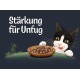 Eine verspielte schwarz-weiße Katze leckt sich die Lippen neben einer Holzschüssel mit Haustierfutter, mit dem Text "Stärkung für Unfug" darüber.
