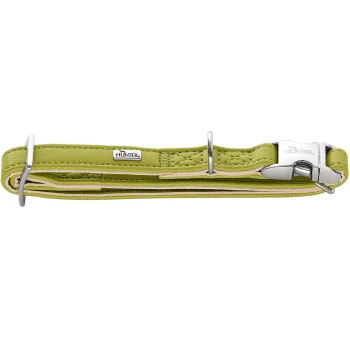 Limonengrünes Leder-Hundehalsband mit silberner Metallschnalle, D-Ring und kleinem Markenanhänger "HUNTER".