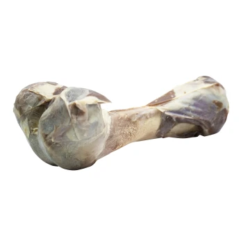 Ein roher Hundeknochen in gedrehter Form, mit einer glänzenden Oberfläche und natürlichen Farbvariationen, ideal zum Kauen.