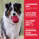 Chien tricolore tenant un jouet KONG rouge ; la barre latérale rouge indique (en français) « Le CAOUTCHOUC KONG... Il ne se casse pas en éclats »
