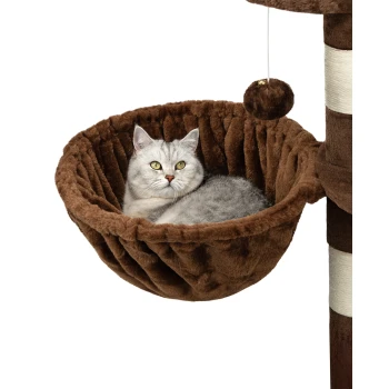 Eine flauschige graue Katze mit leuchtend grünen Augen entspannt sich in einer gemütlichen, braunen, plüschigen Hängematte, die an einem Kratzbaum befestigt ist.